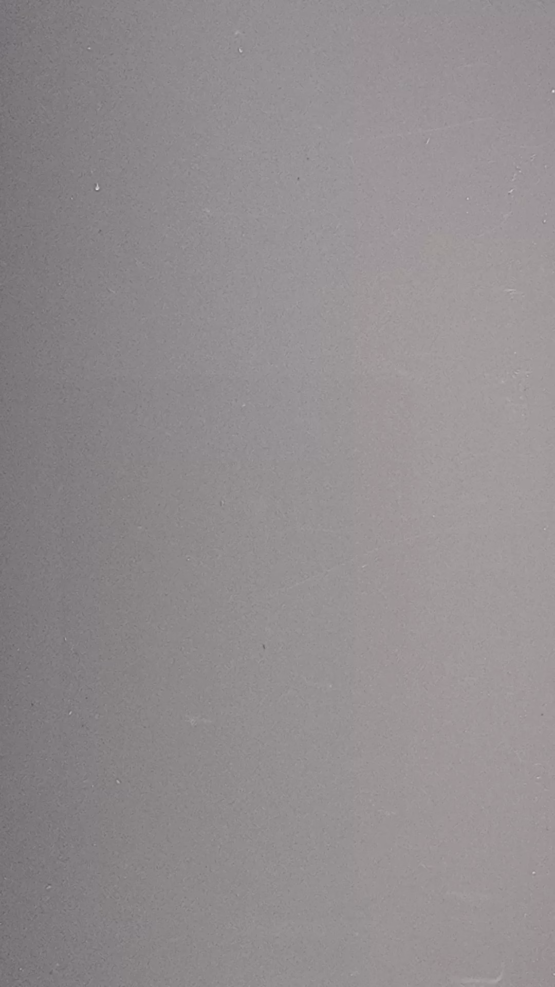 Dolphin Grey High Gloss