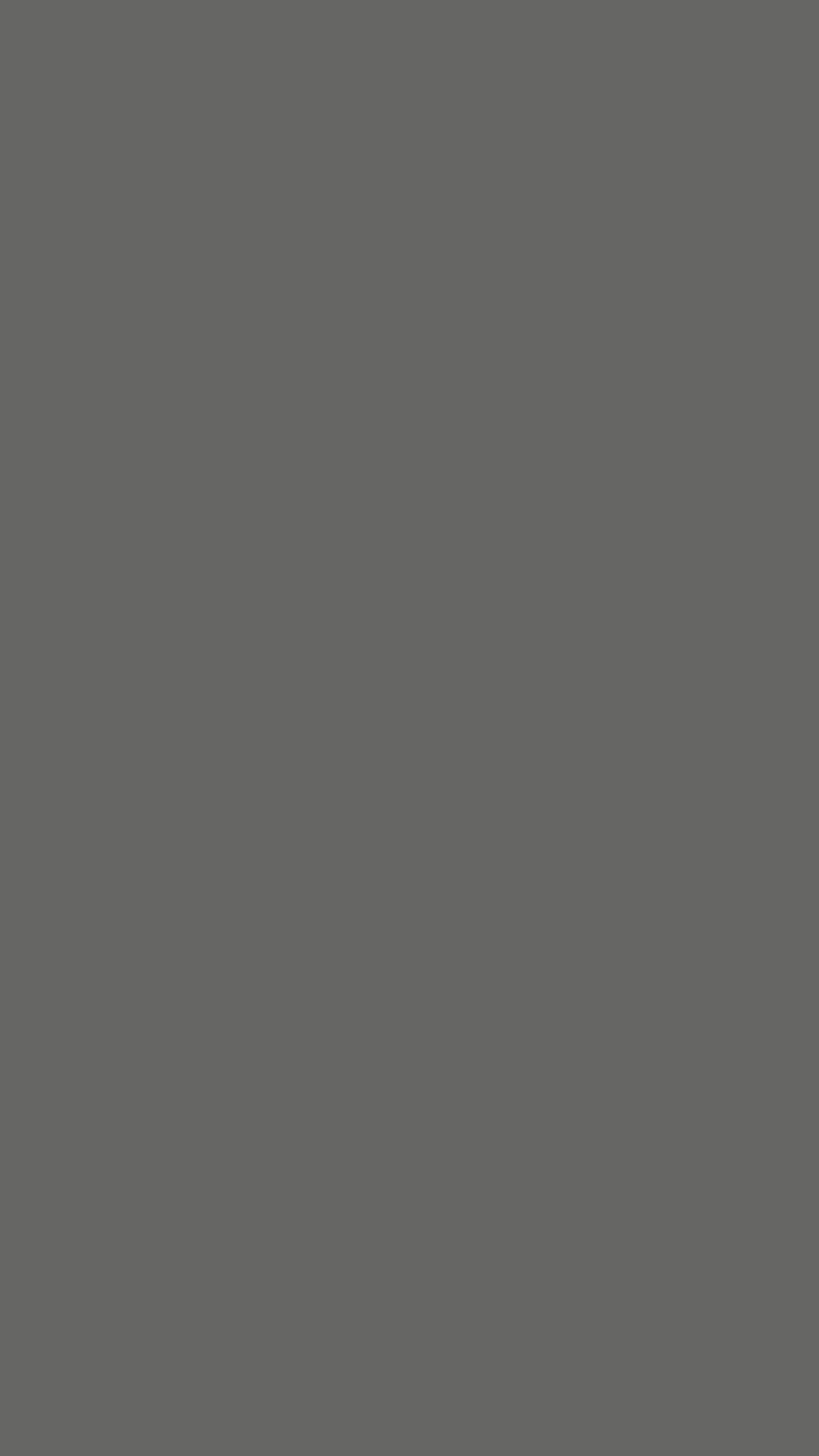 Gauntlet Grey